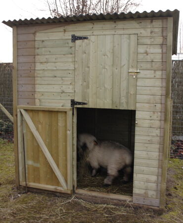jurgen den baes dierenhokken